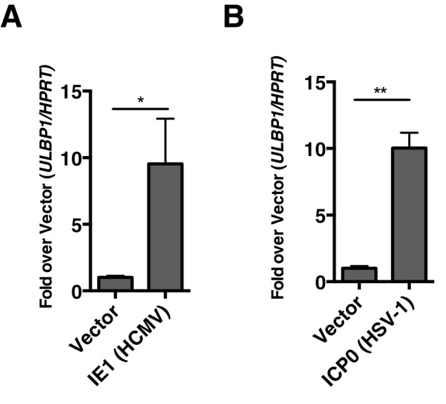 Figure 9.