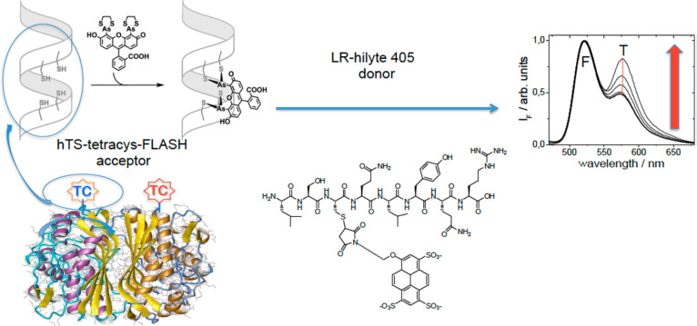 Figure 13