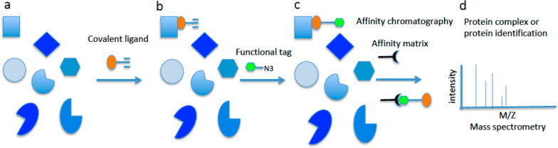 Figure 16