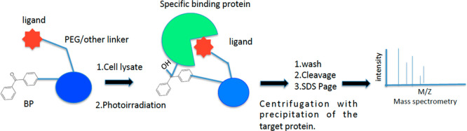 Figure 19