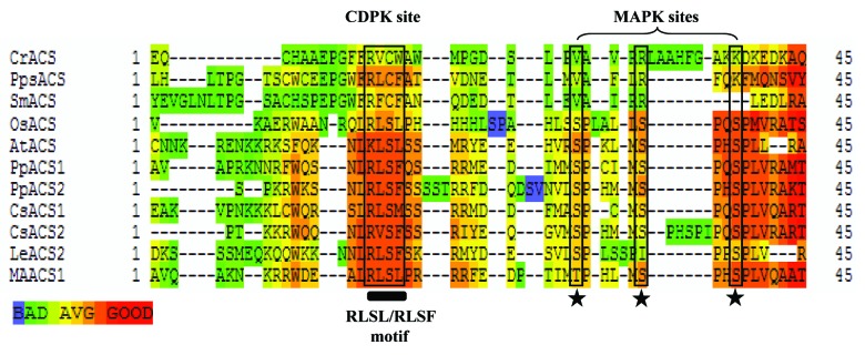 graphic file with name psb-8-e23000-g1.jpg