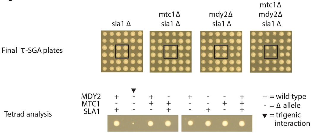 Fig. 5 |