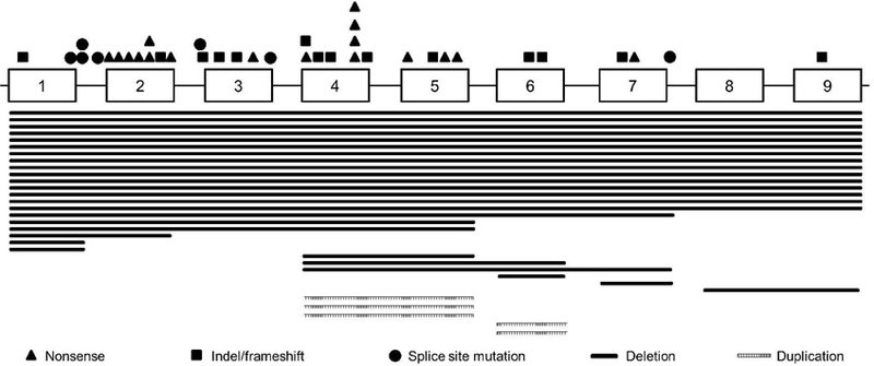 FIG. 2:
