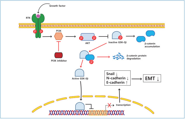 graphic file with name cmh-2019-0056nf5.jpg