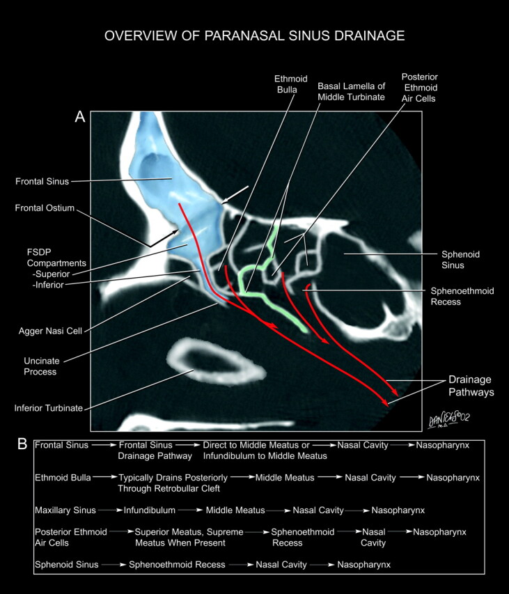 Fig 1.