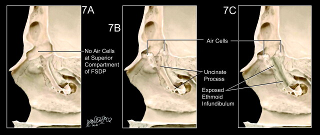 Fig 7.