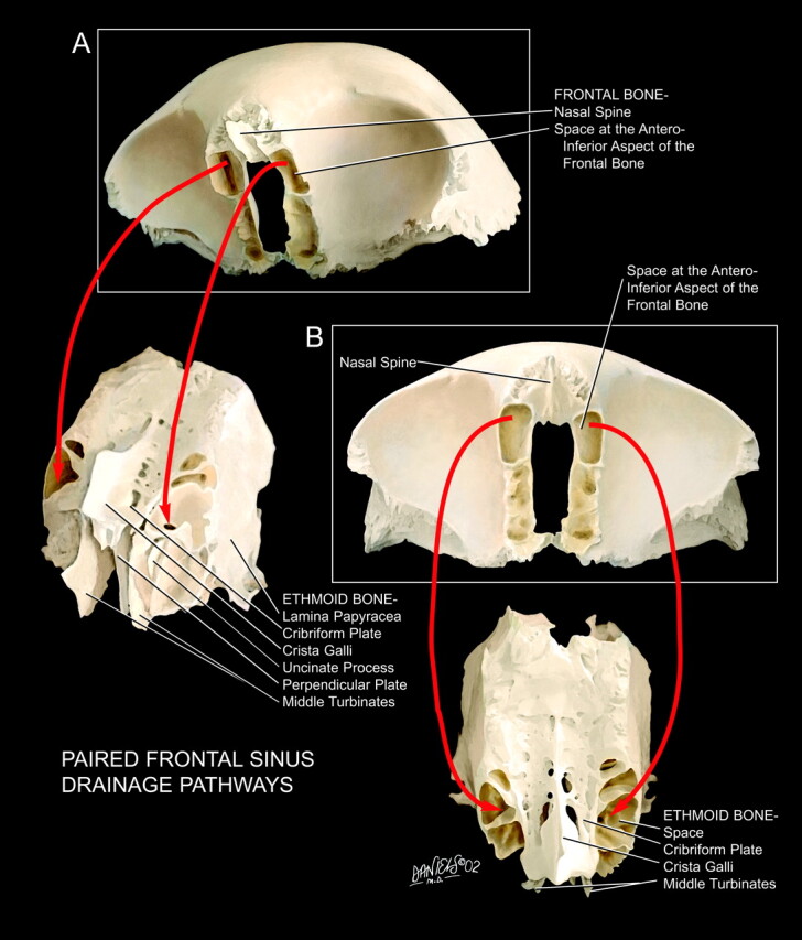 Fig 2.