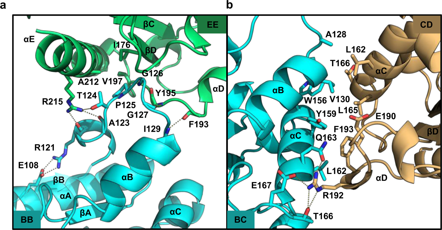 Figure 4: