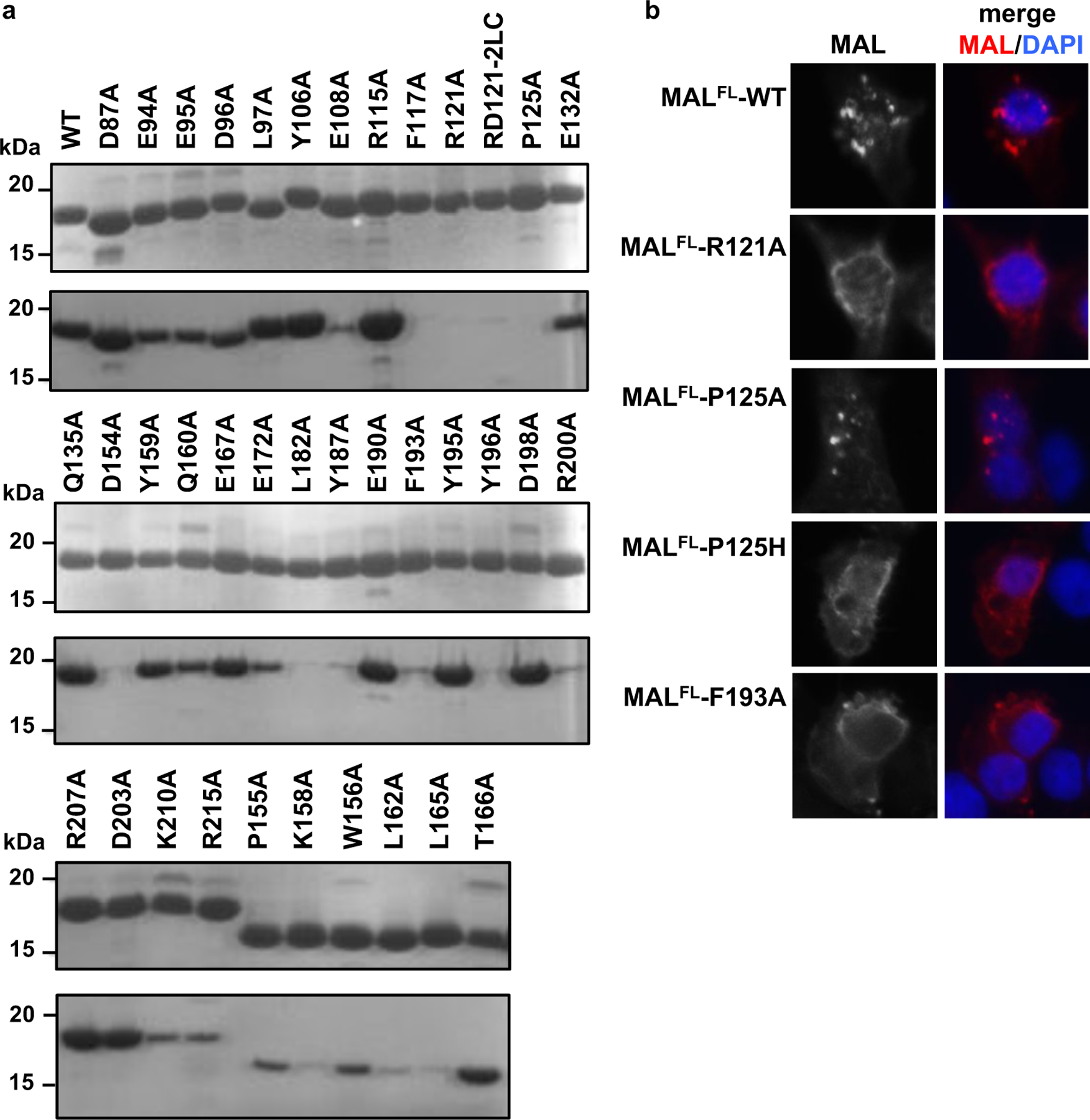 Figure 5: