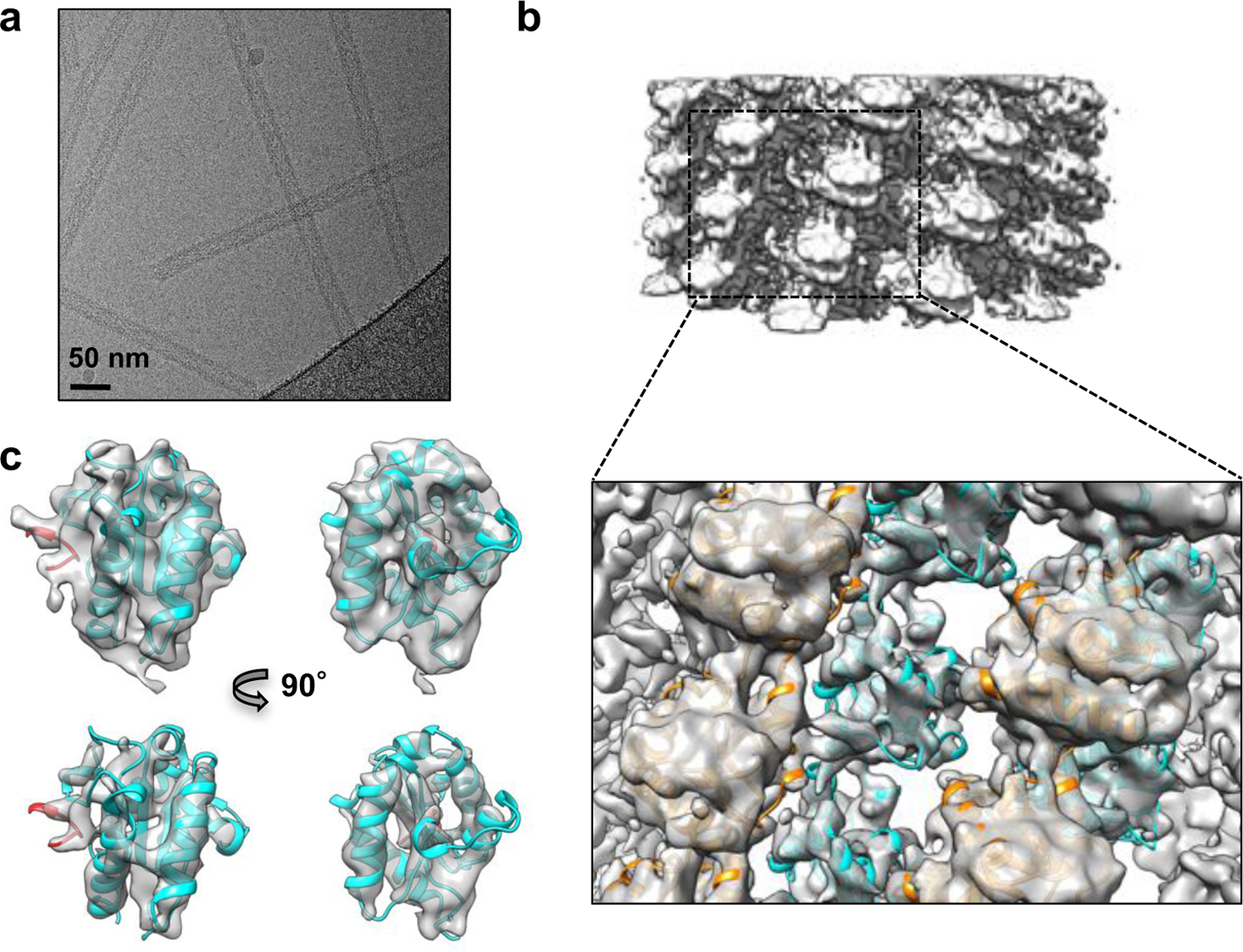 Figure 2: