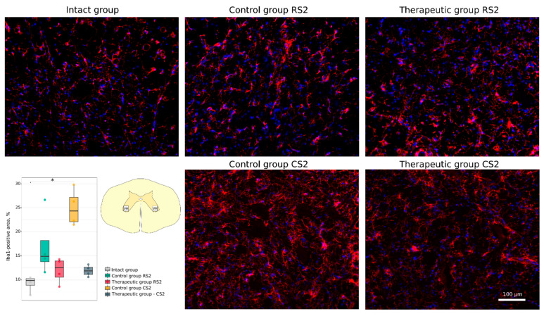 Figure 12