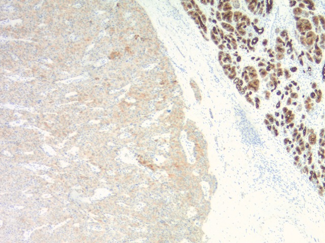 Figure 7.