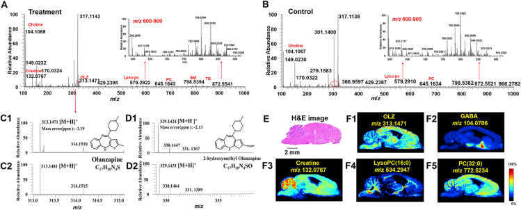 Figure 1