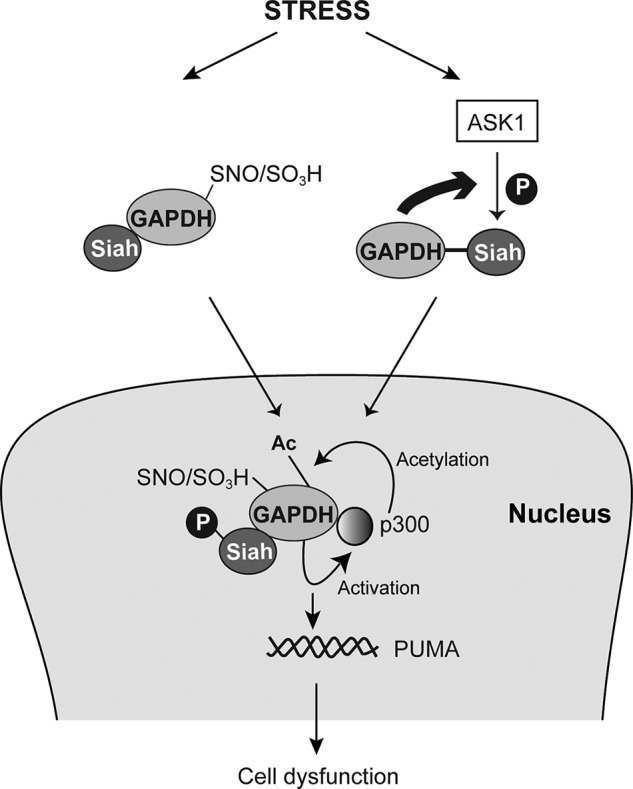 FIGURE 9.