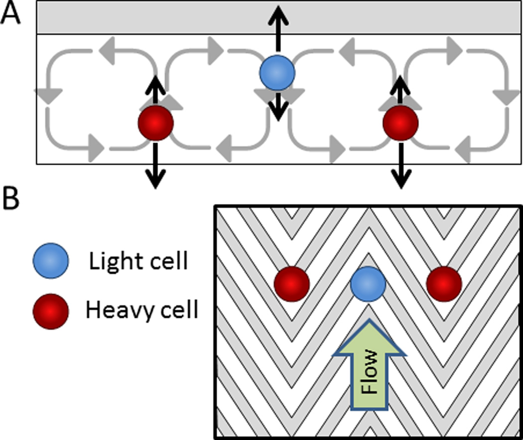 Fig. 13