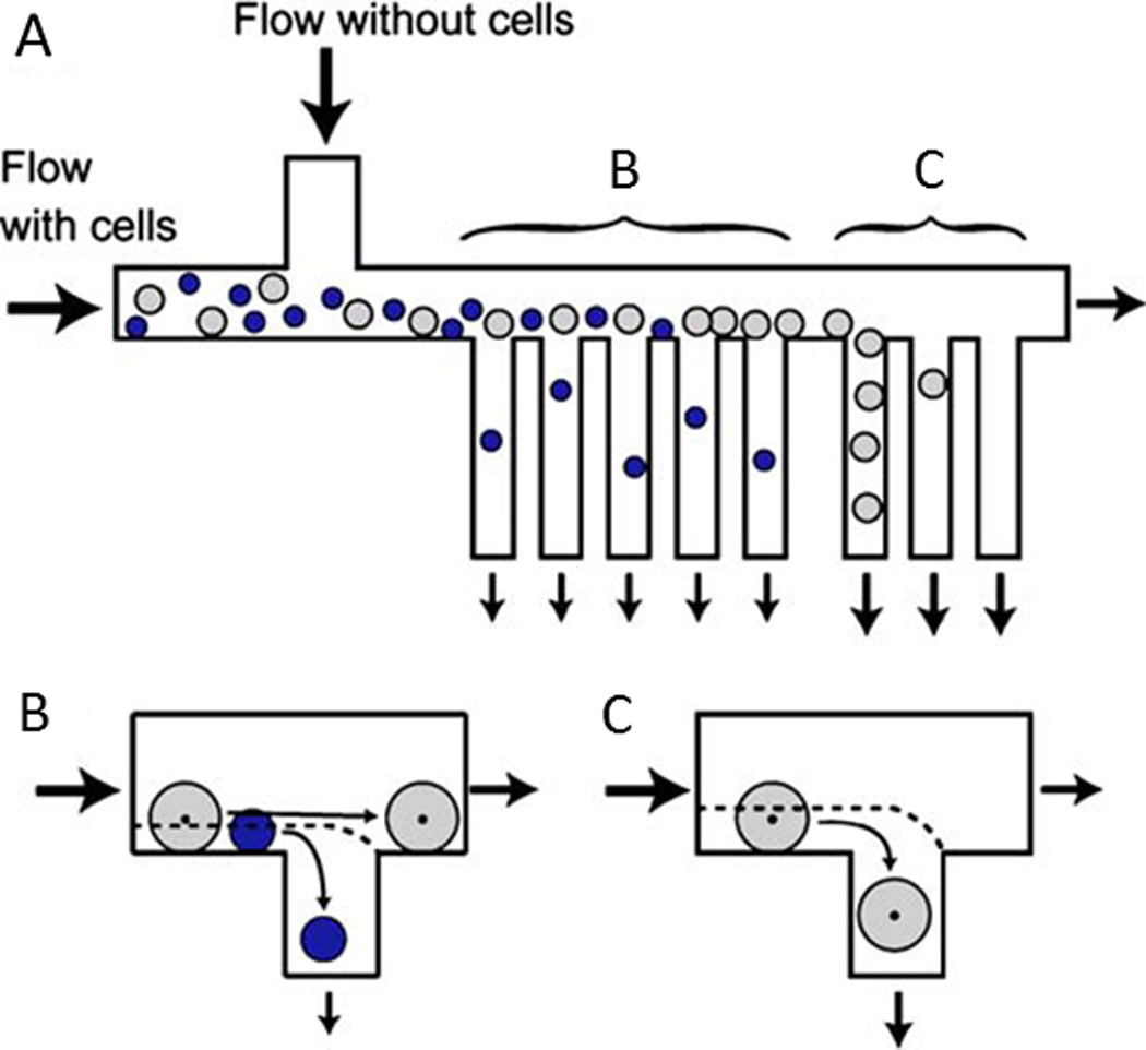 Fig. 16