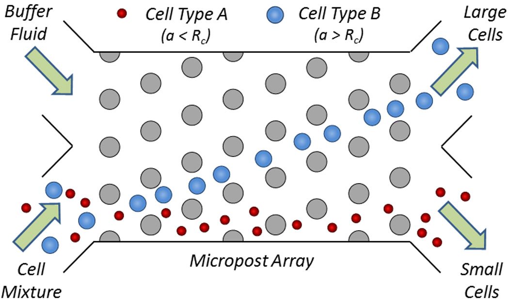 Fig. 12