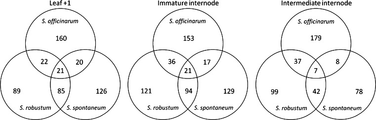 Fig. 5