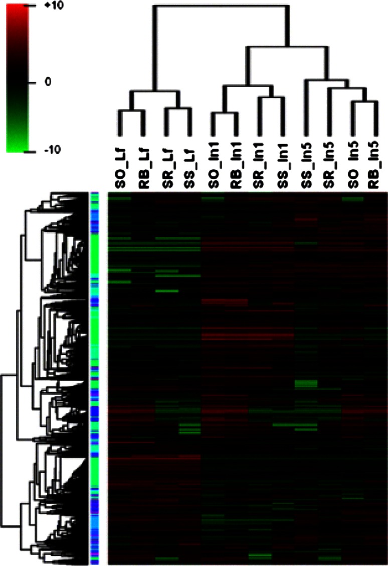 Fig. 2