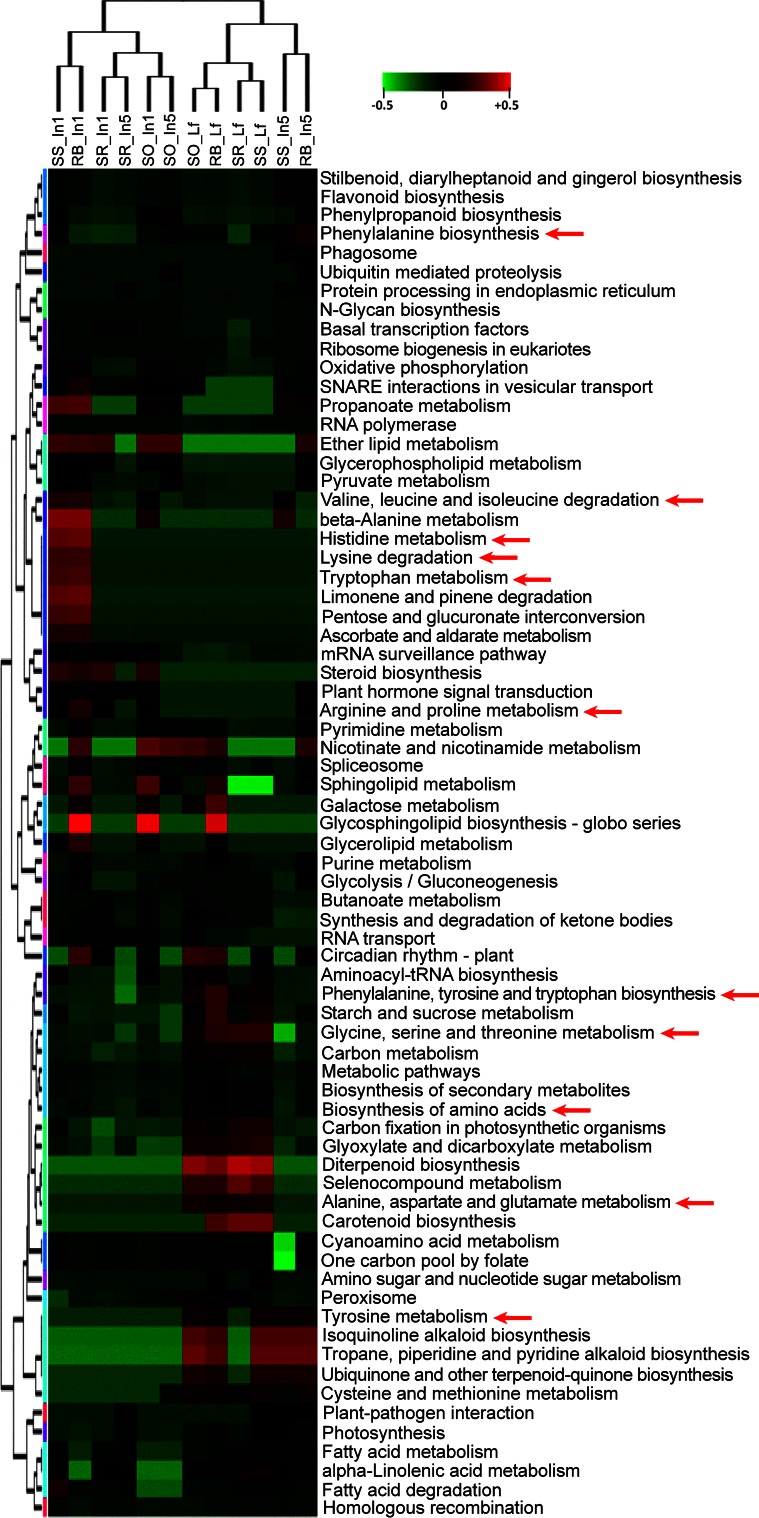 Fig. 3