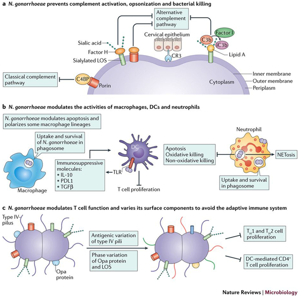 Figure 4: