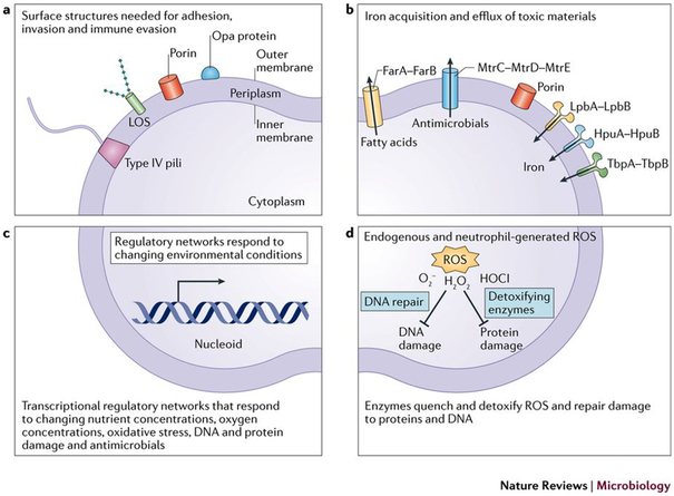 Figure 2: