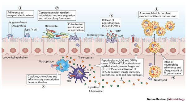 Figure 1: