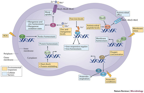 Figure 3: