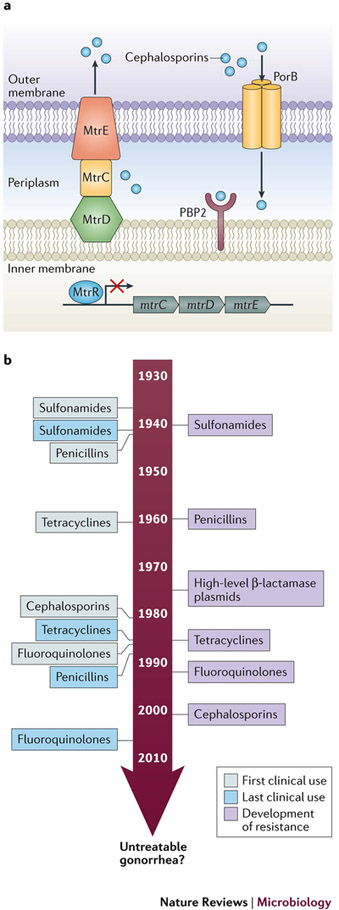 Figure 5: