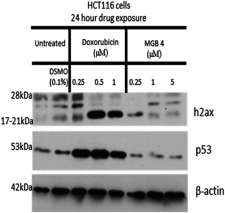 Fig. 11