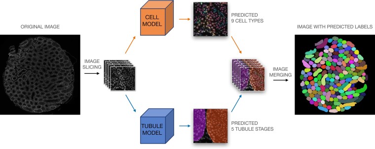 Figure 3.