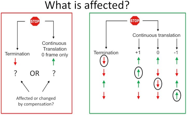 Graphical Abstract