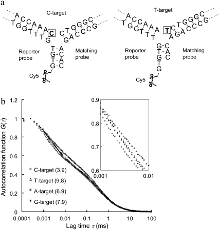 FIGURE 6