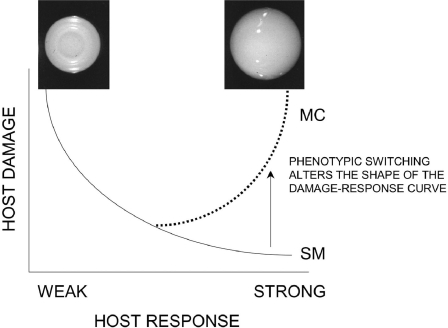 FIG. 6.