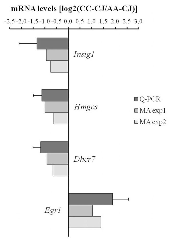 FIGURE 4