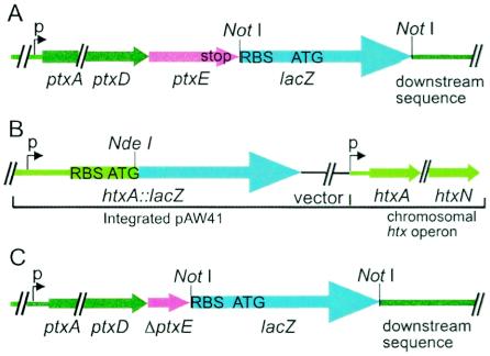 FIG. 2.