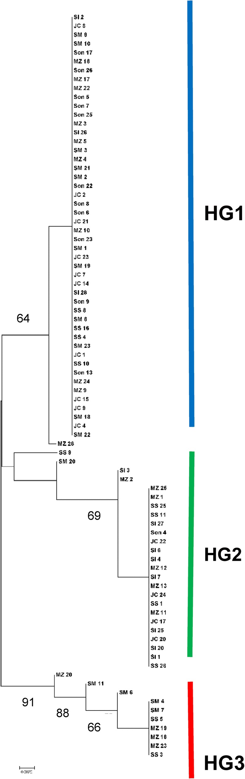 Fig. 3