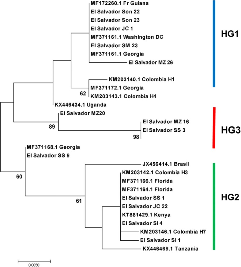 Fig. 6