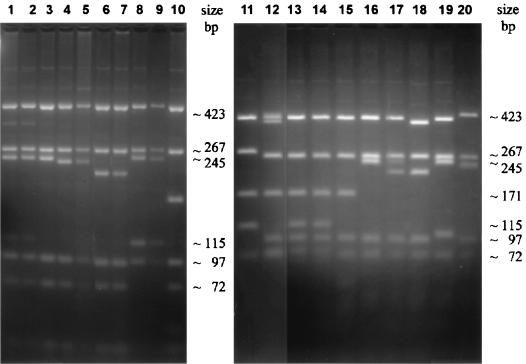 FIG. 7