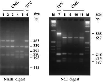 FIG. 5