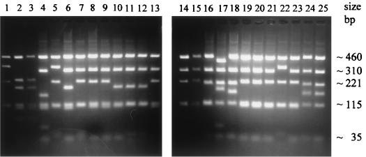 FIG. 6