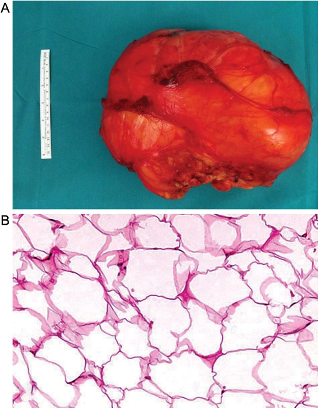 Figure 2: