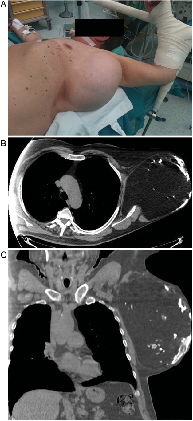 Figure 1: