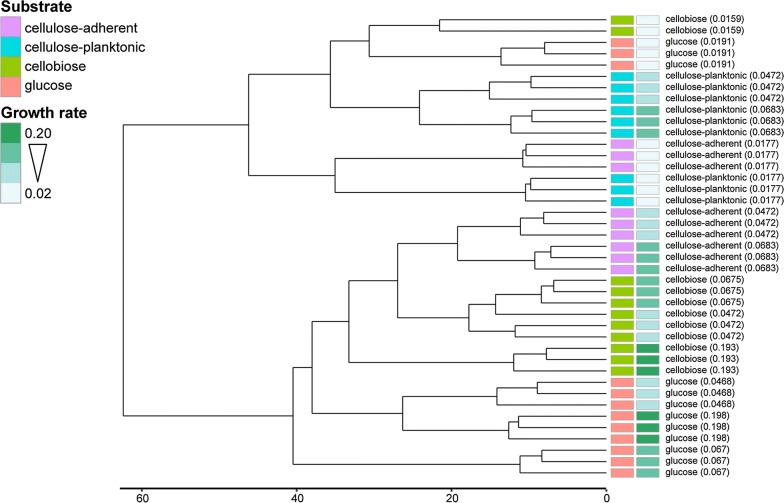 Fig. 2