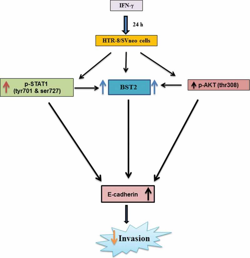 Figure 11.