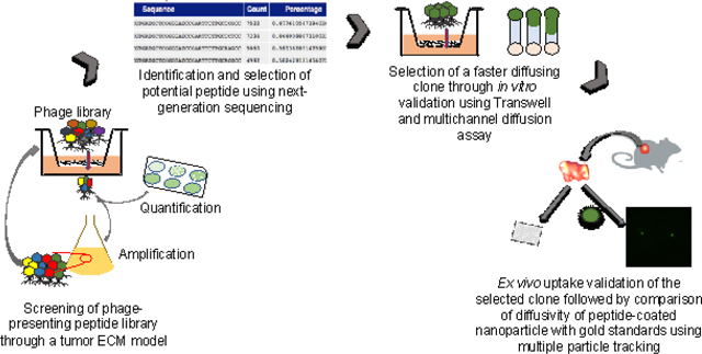 graphic file with name nihms-1052130-f0007.jpg