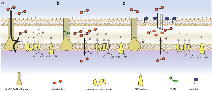 FIG 4