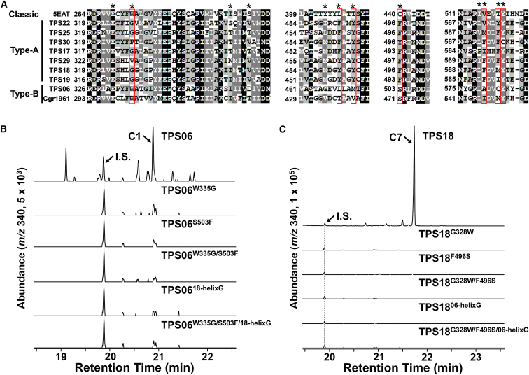 Figure 4