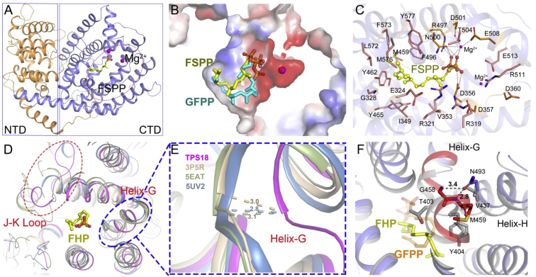 Figure 3