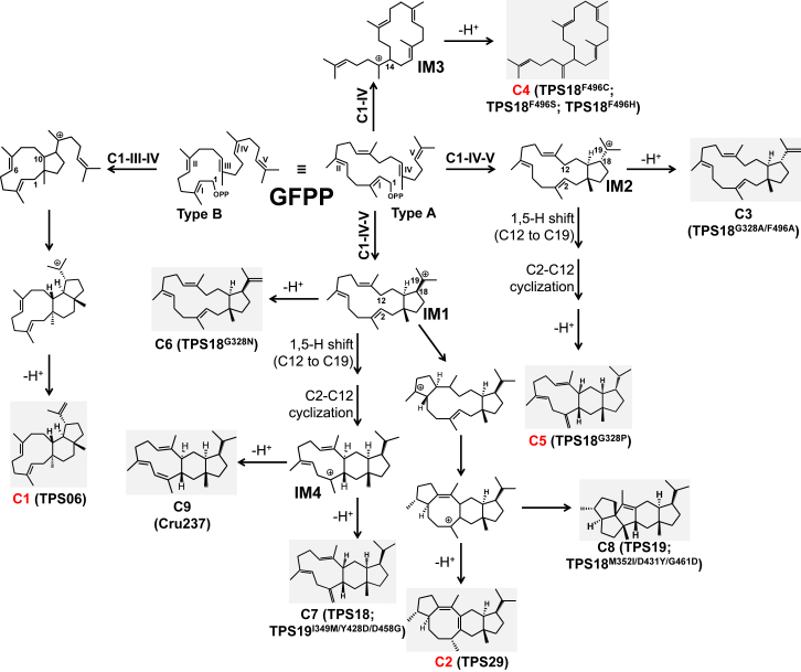 Figure 2